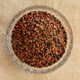 BezOdpadu mix semienok na klíčenie 2 BIO BezOdpadu mix semienok na klíčenie 2 BIO