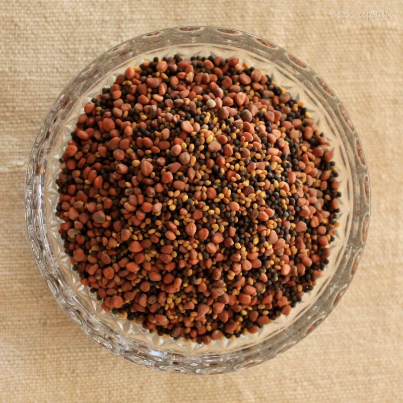 BezOdpadu mix semienok na klíčenie 2 BIO BezOdpadu mix semienok na klíčenie 2 BIO