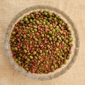 BezOdpadu mix semienok na klíčenie BezOdpadu mix semienok na klíčenie