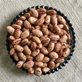 Fazuľa farebná Cranberry