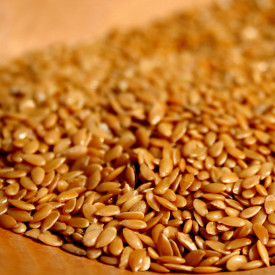 Ľan zlatý Ľan zlatý