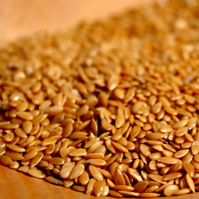 Ľan zlatý Ľan zlatý